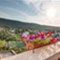 Island Losinj Mariano
 - app - Mariano 2