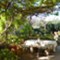  Island Losinj Renata
 - app - Vini