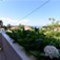 Island Losinj - app Ani 3