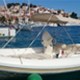 Island Lošinj